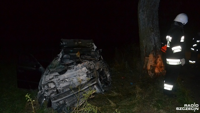 Na łuku drogi pomiędzy miejscowościami Stary Borek i Korzystno samochód osobowy uderzył w drzewo.