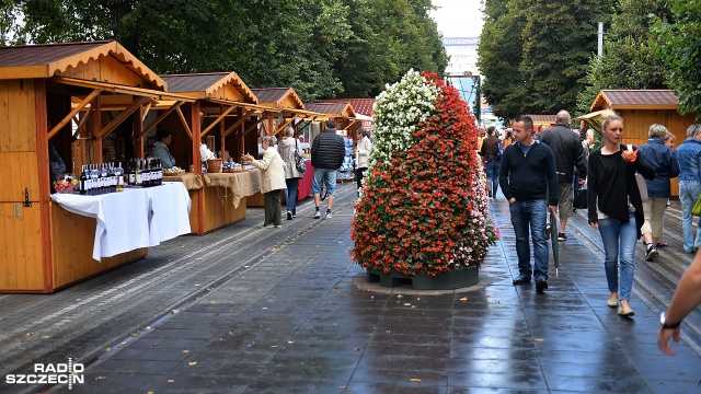 Szczecińska aleja Kwiatowa i plac Żołnierza Polskiego pełne zdrowej i regionalnej żywności: zaczęła się impreza Miasto Ogród - zielony event.