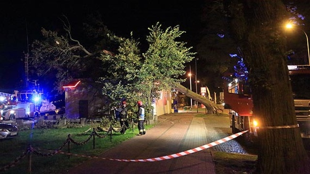 Około 80 razy interweniowali zachodniopomorscy strażacy przy usuwaniu skutków silnego wiatru, który w środę po południu i w nocy wiał w regionie.
