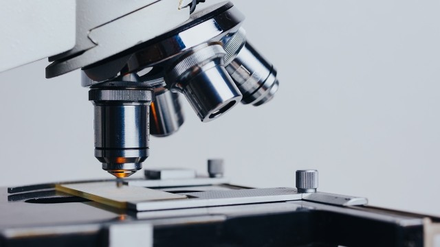 Bezpłatne badania znamion będzie można wykonać w piątek na szczecińskim Bezrzeczu. Zaparkuje tam dermobus, czyli gabinet medyczny na kółkach, w którym wszyscy chętni będą mogli zrobić dermatoskopię.