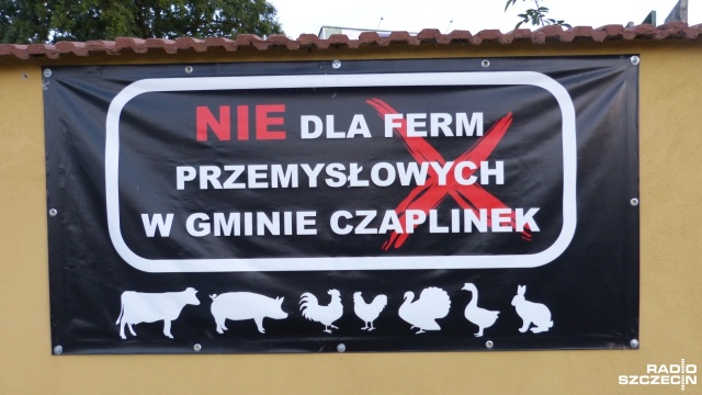 W Czaplinku miały stanąć megafermy hodowlane, ale już wiemy, że nie powstaną. Zamiast nich władze gminy chcą postawić megafarmy wiatrowe i biogazownie - tak wynika z kilkugodzinnej debaty, jaka odbyła się w czwartek w Czaplinku.