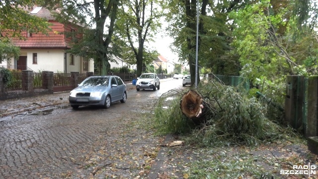 Wiatr w Szczecinie i regionie osłabł, ale nadal jest sporo utrudnień, zwłaszcza na trasach kolejowych. Nie do wszystkich gospodarstw domowych wrócił też prąd.