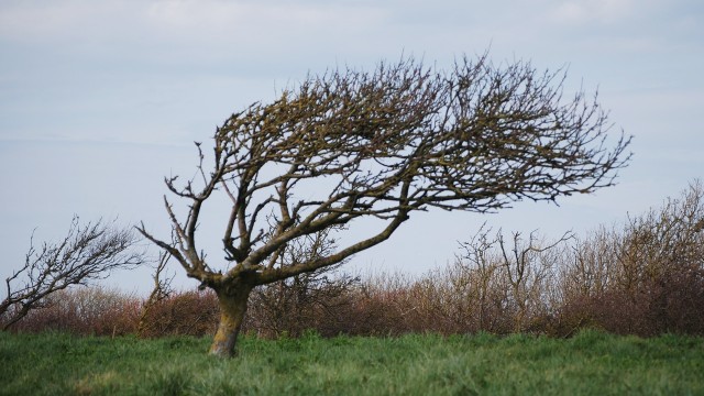 Instytut Meteorologii i Gospodarki Wodnej w Szczecinie ostrzega przed silnym wiatrem na Pomorzu Zachodnim.