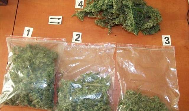 Nielegalną plantację marihuany zlikwidowali policjanci z Drawska Pomorskiego. W ręce funkcjonariuszy trafiło ponad 300 gramów suszu roślinnego, 8 krzewów, specjalisty sprzęt, narzędzia i środki chemiczne używane do uprawy.