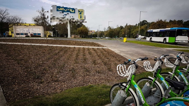 Projekt powstaje dzięki Szczecińskiemu Budżetowi Obywatelskiemu. W pierwszym etapie teren przy zajezdni autobusowej, przy ulicy Niedźwiedziej, został obsadzony. Znalazło się tam ponad 2 tysiące sztuk róż oraz ozdobna wiśnia piłkowana zwana japońską.