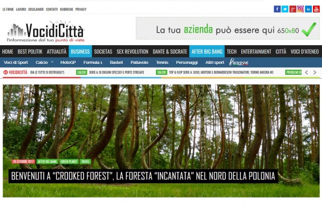 Kojarzy się z Harrym Potterem albo Władcą Pierścieni - tak o Krzywym Lesie pod Gryfinem piszą Włosi. Portal vocedicitta.it opublikował tekst o przyrodniczej atrakcji w Nowym Czarnowie.