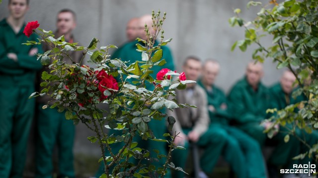 Więźniowie zatrudniani nie tylko do prac porządkowych