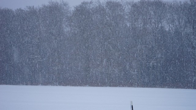 Niskie temperatury i opady śniegu na wschodzie Stanów Zjednoczonych. 350 tysięcy mieszkańców na południu nie ma prądu. W Atlancie odwołano 1,5 tysiąca lotów.