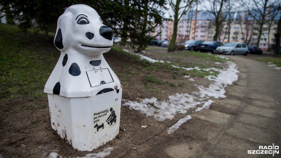 Za niesprzątanie po psie grozi mandat do 500 złotych. Fot. Olaf Nowicki [Radio Szczecin]