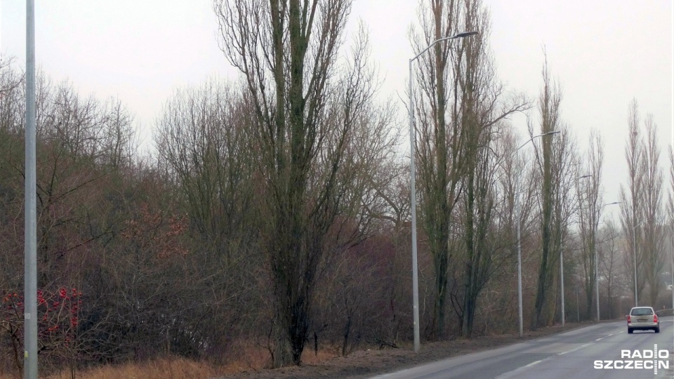 Fot. Marek Borowiec [Radio Szczecin]