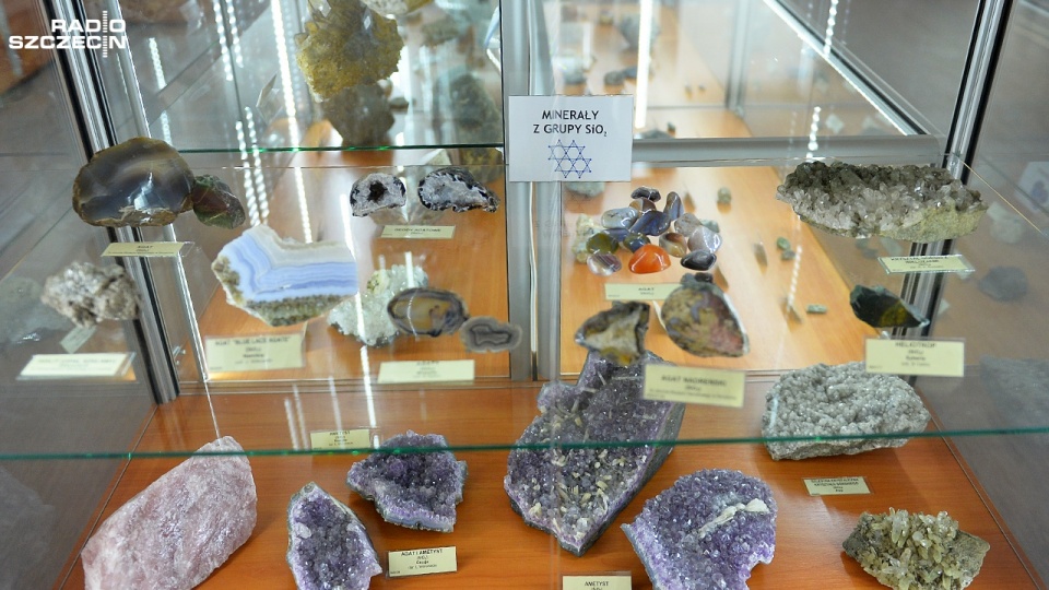 Muzeum Geologiczne w Szczecinie. Fot. Łukasz Szełemej [Radio Szczecin]