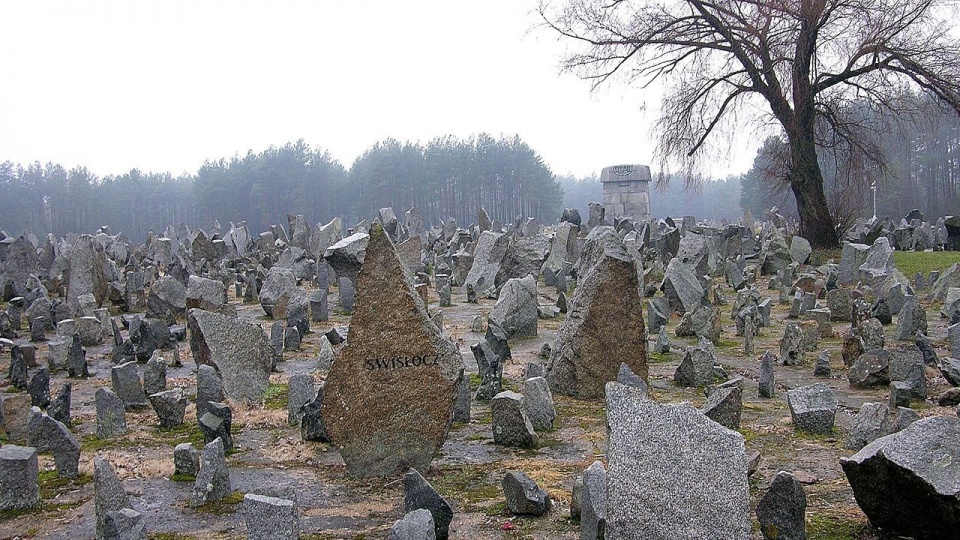 Fragment upamiętnienia dawnego obozu zagłady Treblinka II. Fot. www.wikipedia.org / Adrian Grycuk
