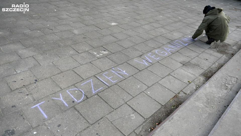Szczeciński Tydzień Weganizmu. Fot. Łukasz Szełemej [Radio Szczecin]
