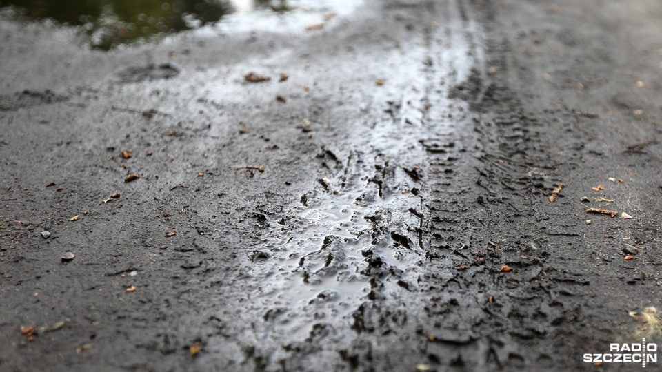 Dewastacja Puszczy Bukowej przez miłośników sportów motorowych wciąż się nasila. Nie radzi sobie z tym ani Straż Leśna ani policja. Fot. Weronika Łyczywek [Radio Szczecin]