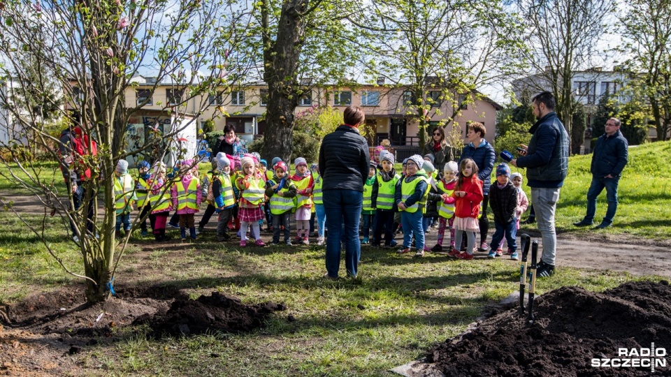 Dzieci z Przedszkola Publicznego nr 3 „Pentliczek" oraz Przedszkola Publicznego nr 59 „Pingwinek" łącznie, posadziły trzy drzewka. Fot. Weronika Łyczywek [Radio Szczecin]