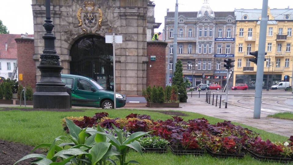 Sadzenie kwiatów przy Bramie Królewskiej w Szczecinie. Fot. ZUK