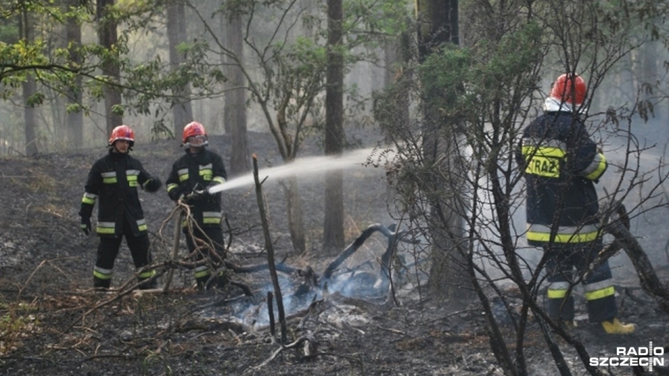 W polskich lasach utrzymuje się zagrożenie pożarowe. Fot. Sławomir Orlik [Radio Szczecin/Archiwum]