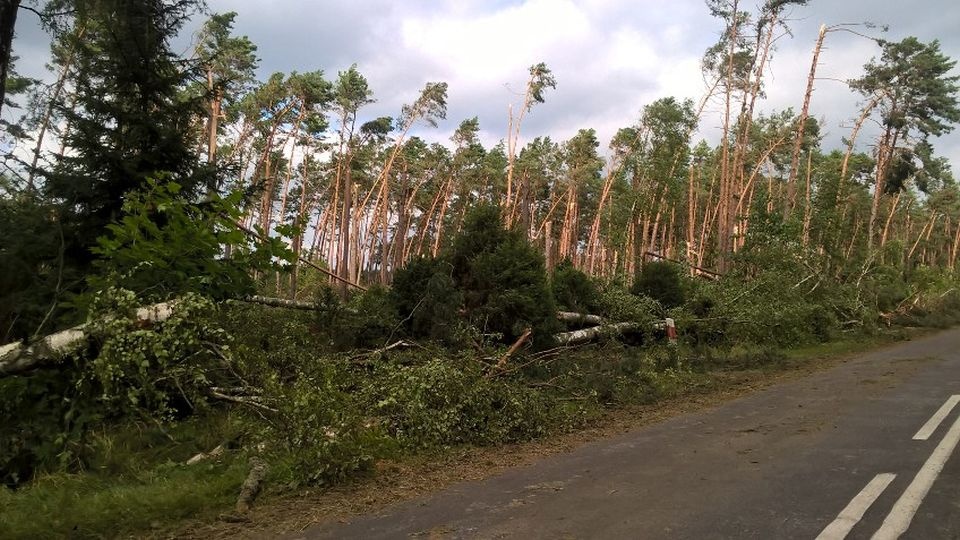 Zniszczone lasy podczas piątkowej nawałnicy . Fot. Lasy Państwowe
