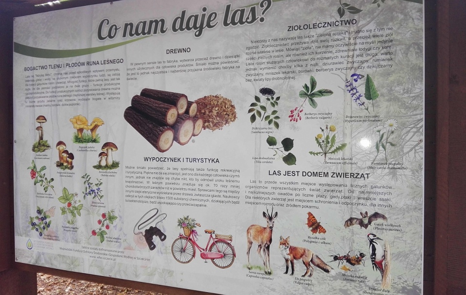 Na całej trasie, od pętli tramwajowej do ulicy Kąpieliskowej, ustawiono 10 tablic informacyjnych. Fot. ZUK