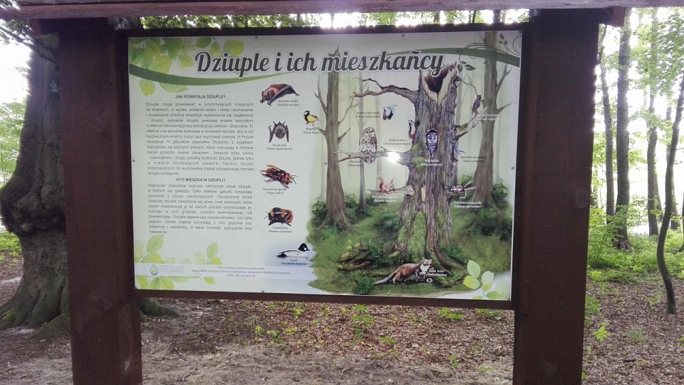 Na całej trasie, od pętli tramwajowej do ulicy Kąpieliskowej, ustawiono 10 tablic informacyjnych. Fot. ZUK