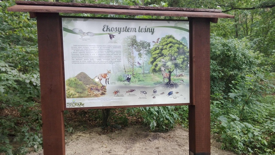 Na całej trasie, od pętli tramwajowej do ulicy Kąpieliskowej, ustawiono 10 tablic informacyjnych. Fot. ZUK