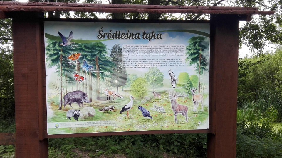 Na całej trasie, od pętli tramwajowej do ulicy Kąpieliskowej, ustawiono 10 tablic informacyjnych. Fot. ZUK