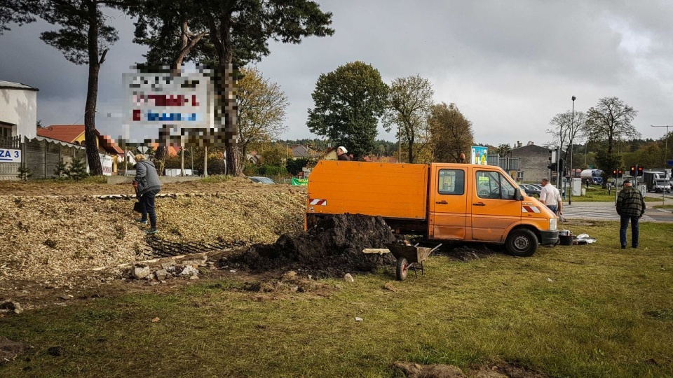 Koszt tego etapu wyniósł prawie 90 tys. złotych. Drugi polega na posadzeniu kolejnych 400 róż po drugiej stronie ulicy - na skarpie znajdującej się przy wjeździe do miasta, od strony ulicy Kurzej. Fot. ZUK Szczecin