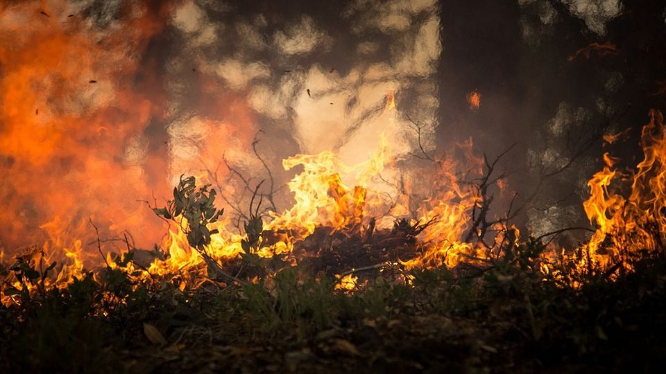Lasy i pola uprawne zagrożone pożarami