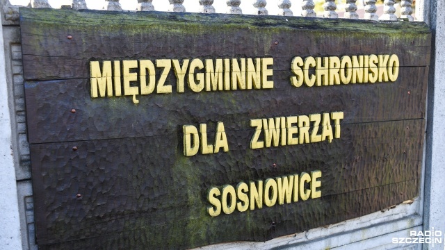 Schronisko dla Bezdomnych Zwierząt w Sosnowicach nieopodal Golczewa. Fot. Kamila Kozioł [Radio Szczecin] Banery wyborcze trafiają do schroniska w Sosnowicach. Psom jest cieplej [ZDJĘCIA]