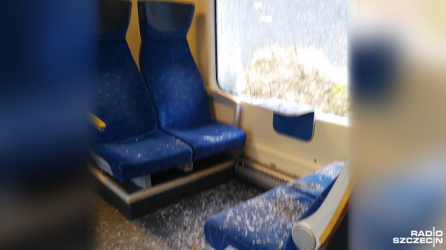 Około godziny 11 na skład relacji Kołobrzeg - Szczecin spadło drzewo.