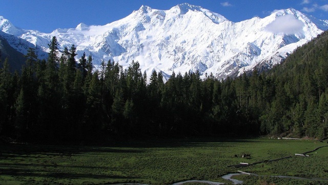 Na Nanga Parbat trwa akcja ratunkowa. Polsko-francuski zespół podczas próby ataku szczytowego utknął na wysokości około 7400 metrów. Tomasz Mackiewicz i Elizabeth Revol, po nocy spędzonej na tej wysokości, nie są w stanie schodzić niżej. Akcja ratunkowa z użyciem śmigłowców zostanie przeprowadzona w sobotę rano.