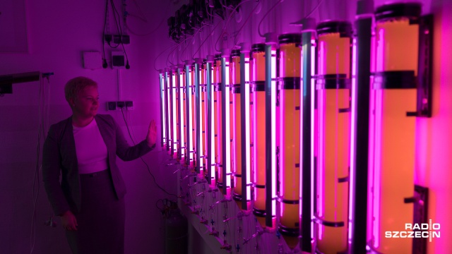 Jedno z najnowocześniejszych laboratoriów poświęconych odnawialnym źródłom energii w Polsce uruchomiono w piątek na Wydziale Kształtowania Środowiska i Rolnictwa w Zachodniopomorskim Uniwersytecie Technologicznym w Szczecinie.