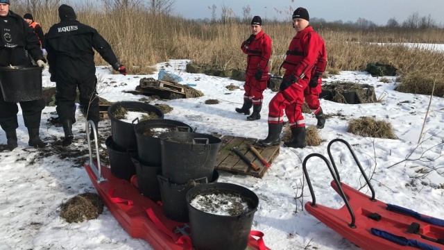Ponad 70 donic z sadzonkami marihuany zabezpieczyła kołobrzeska policja na terenie Ekoparku Wschodniego. Wcześniej funkcjonariusze otrzymali informację, że znaleziono ślady wskazujące na to, że mogła funkcjonować tam plantacja.