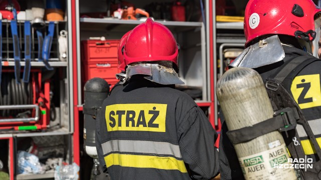 Siedem zastępów straży gasi pożar, który wybuchł na poddaszu budynku wielorodzinnego przy ulicy Fabrycznej w Gryfinie.