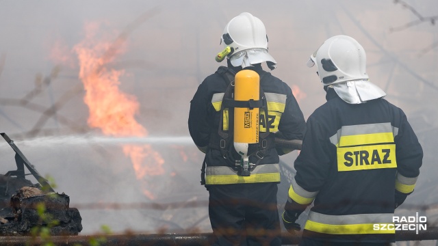Cztery i pół tysiąca zwierząt spłonęło w sobotnim pożarze chlewni we wsi Wychowaniec w Wielkopolsce. Sprawą już zajęły się policja i prokuratura.