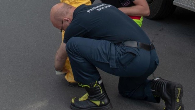 Jadowity pająk w sklepie niemieckiej sieci spożywczej - podaje tamtejszy Bild. W akcję zaangażowano kilka zastępów strażaków. Poszukiwania wciąż trwają.