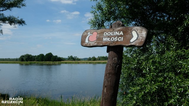 Zarośnięte ścieżki oraz oczka wodne, dziurawe ławki i powalone drzewa - tak wygląda Dolina Miłości, dotychczasowa atrakcja turystyczna w zabytkowym parku leśnym w Zatoni Dolnej pod Chojną.