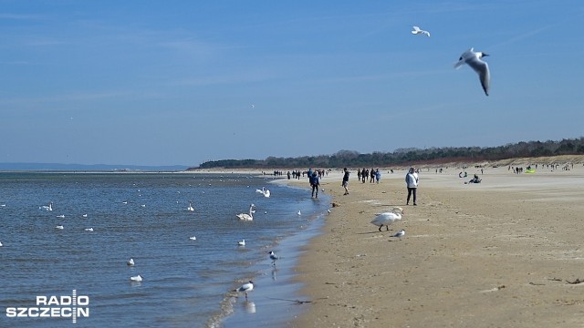 Plaża w Świnoujściu jest najlepsza w Polsce, przynajmniej według corocznego rankingu portalu Onet.pl. Tym samym zachodniopomorski kurort wrócił na pozycję lidera, którą zajmował przez sześć lat. W zestawieniu z 2017 roku Świnoujście zajęło drugą lokatę.