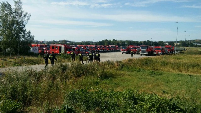 Polscy strażacy - głównie z Zachodniopomorskiego oraz Wielkopolski - zmierzają do środkowej Szwecji, gdzie wezmą udział w akcji gaszenia pożarów lasów.