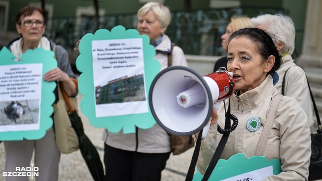 Stop przyrodniczej apokalipsie Szczecina - pod takim hasłem przed Urzędem Miejskim protestowało kilkunastu działaczy organizacji ekologicznych.