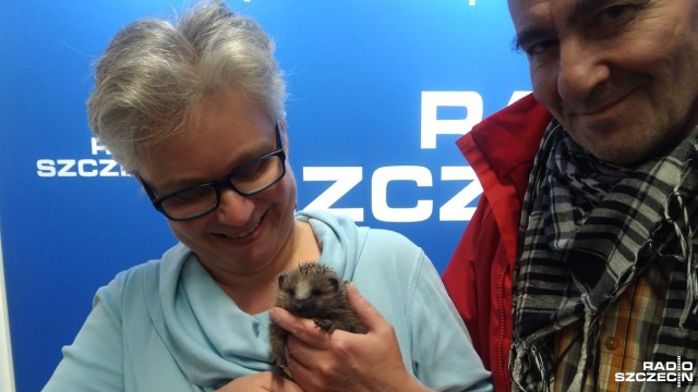 W domu mają jeżarnię. Państwo Renata i Piotr Pihanowie ze Szczecina byli gośćmi audycji Radio Szczecin na Wieczór.