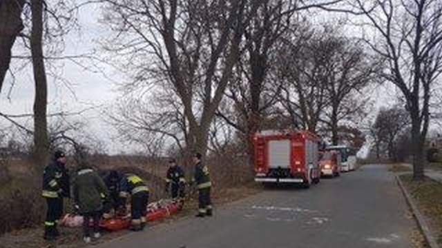 Mundurowi uratowali młodego labradora przymarzniętego do lodu na jeziorze. Wszystko to działo się nad ranem w miejscowości Skrzynka. Strażaków powiadomiły dwie spacerujące kobiety.