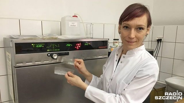 Ze zmodyfikowanej skrobi ziemniaczanej będzie można zrobić jadalne sztućce, nawozy, a nawet biodegradowalne torby foliowe. Plastik z ziemniaków wytwarza pracownica Zachodniopomorskiego Uniwersytetu Technologicznego w Szczecinie.