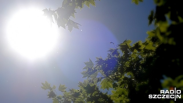 Temperatura w całym regionie na plusie. Słońce na przemian z chmurami. Jeszcze w piątek temperatura będzie dodatnia.