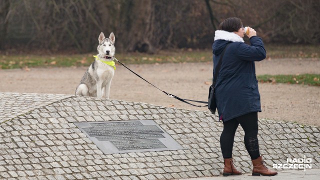 Weterynarz radzi, by nie zostawiać zwierząt na dworze i nie zamykać w ciemnych pomieszczeniach. Otwórzmy drzwi do każdego z pokoi, zapalmy światło.
