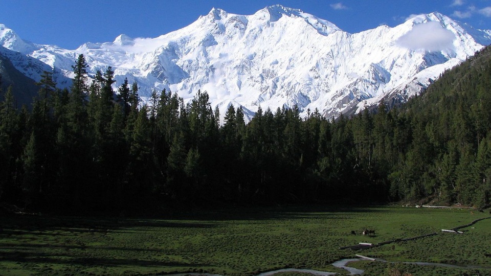 Nanga Parbat to dziewiąty co do wysokości szczyt świata. Rok temu została zdobyta pierwszy raz zimą. źródło: pl.wikipedia.org/wiki/Nanga_Parbat