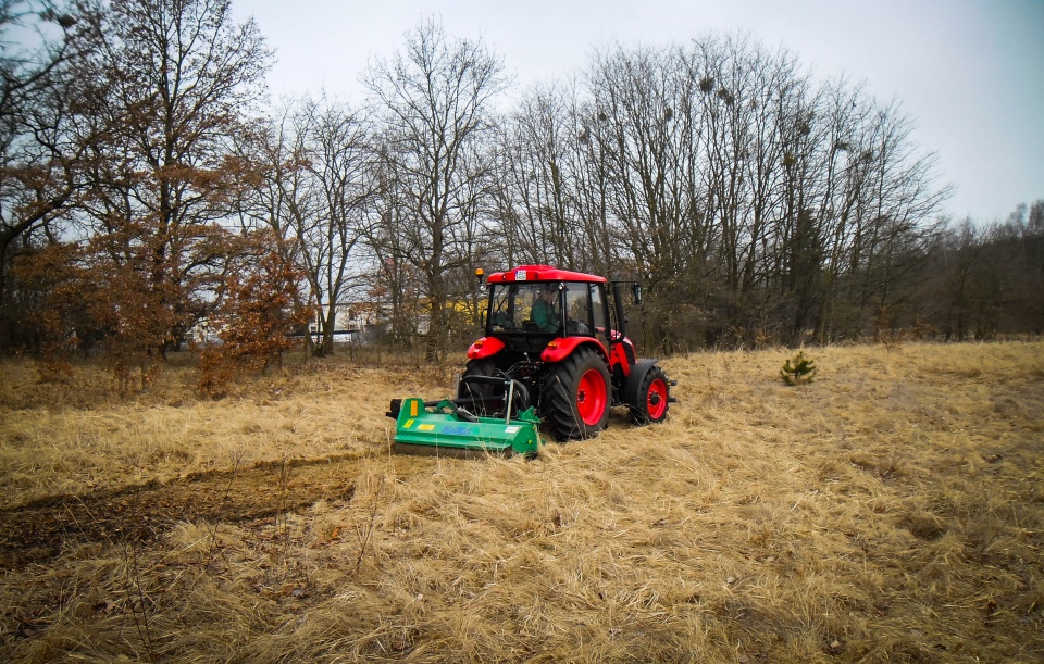 Pracownicy Zakładu Usług Komunalnych przygotowują im teren przy Jelenim Stawie. Docelowo powstaną tam hotele dla pszczół. Fot. ZUK