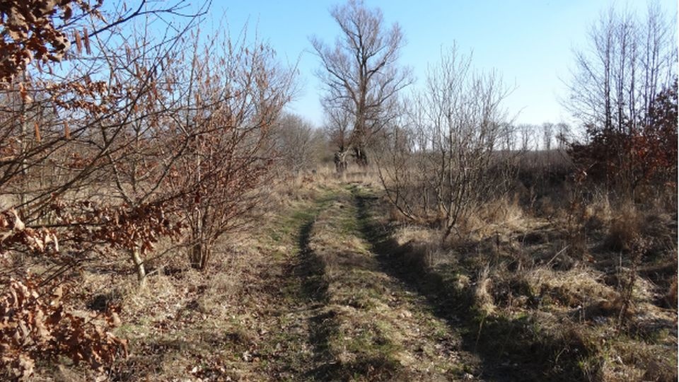 To kolejny odcinek trasy nazwanej Velo Baltica. Powstają już bowiem ścieżki na odcinkach Łazy-Osieki-Iwięcino i odcinek w rejonie ul. Bałtyckiej w Kołobrzegu. Docelowo ścieżką rowerową będziemy mogli dojechać od granicy województwa aż do Świnoujścia. źród