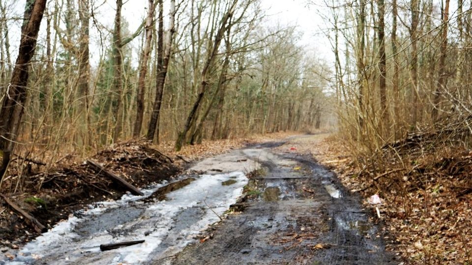 To kolejny odcinek trasy nazwanej Velo Baltica. Powstają już bowiem ścieżki na odcinkach Łazy-Osieki-Iwięcino i odcinek w rejonie ul. Bałtyckiej w Kołobrzegu. Docelowo ścieżką rowerową będziemy mogli dojechać od granicy województwa aż do Świnoujścia. źród