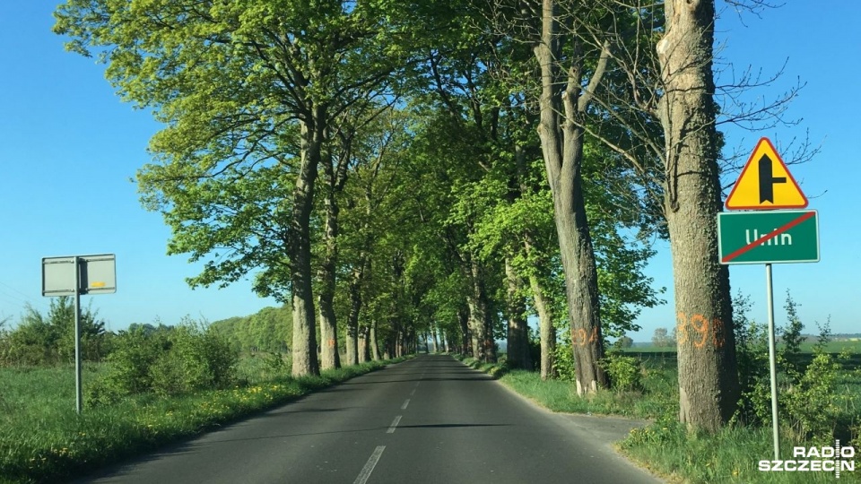 Odcinek drogi Wolin - Unin, prowadzącej dalej do nadmorskiego Międzywodzia. Fot. Sławomir Orlik [Radio Szczecin]